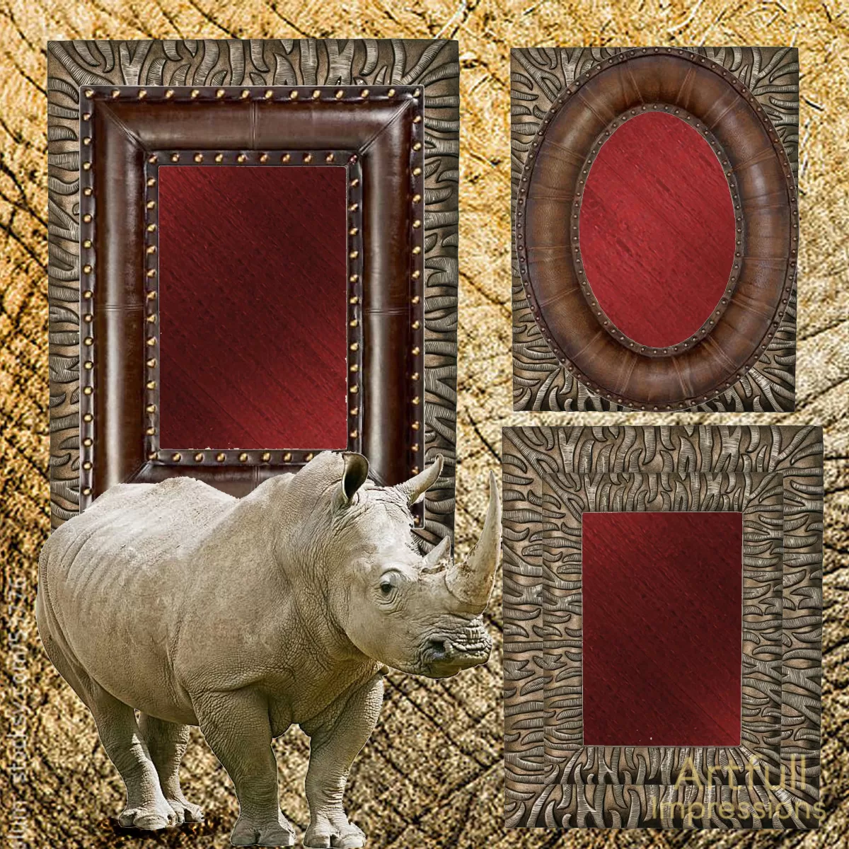Rhino - Safari